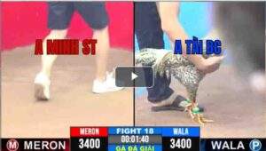 Trận 18 CPC3 29/04/2025