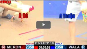 Trận 19 CPC1 14/04/2025 - A Bé Đụng Độ A Thuận Trong Trận Đấu Kịch Tính Hôm Nạy Tại CPC1Trận 19 CPC1 14/04/2025 - A Bé Đụng Độ A Thuận Trong Trận Đấu Kịch Tính Hôm Nạy Tại CPC1