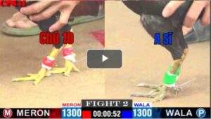 Trận 2 CPC1 14/04/2025 - Bồ Tuấn Sĩ Ra Quân Hạ Đối Thủ Đẹp Mắt