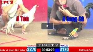 Trận 2 CPC2 04/03/2025 - Anh Ton Mang Hàng Hiệu Đấu Anh Sang CG