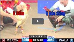 Trận 2 CPC2 18/04/2025