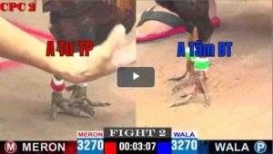 Trận 2 CPC2 20/04/2025