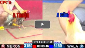 Trận 2 CPC2 23/04/2025