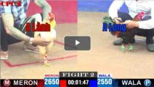 Trận 2 CPC2 25/04/2025