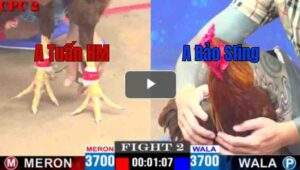 Trận 2 CPC2 27/04/2025