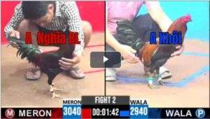 Trận 2 CPC3 09/04/2025 - Trận Xổ 500 Duy Nhất Hôm Nay Tại CPC3 Có Kết Qủa Bất Ngờ