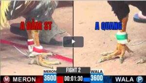 Trận 2 CPC3 29/04/2025