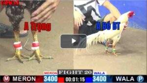 Trận 20 CPC1 24/04/2025