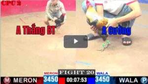 Trận 20 CPC2 06/04/2025 - Điều Hiệu Thắng Bến Tre Bị Phóng Bạc Và Cái Kết