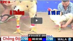 Trận 20 CPC2 30/04/2025