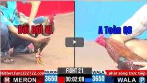 Trận 21 CPC3 05/04/2025 - Bối Bối Vĩnh Long Gặp Cọp Tại CPC3 Hôm Nay Và Cái Kết