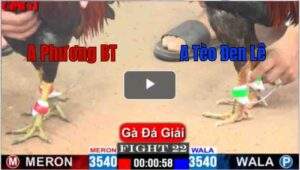 Trận 22 CPC1 26/04/2025