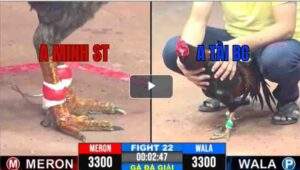 Trận 22 CPC3 29/04/2025