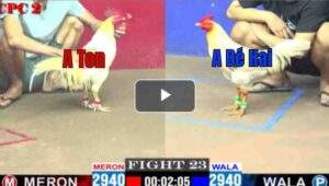 Trận 23 CPC2 23/04/2025