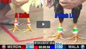 Trận 24 CPC1 17/04/2025