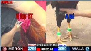 Trận 25 CPC1 12/04/2025 - Trận Đấu Hay Của A Dự Vũng Tàu Và A Bé Bến Tre