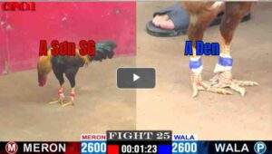 Trận 25 CPC1 29/04/2025