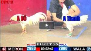 Trận 25 CPC2 06/04/2025 - Bướm Chân Trắng Của A Bé Đá Là Khỏi Sửa