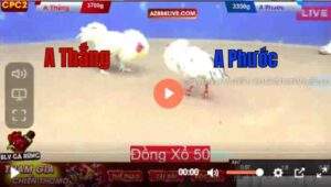 Trận 25 CPC2 30/04/2025