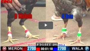 Trận 26 CPC1 17/04/2025