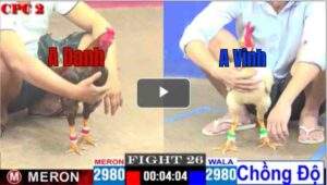 Trận 26 CPC2 30/04/2025