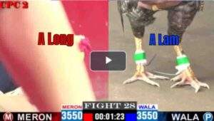 Trận 28 CPC2 13/04/2025 - Gặp Hàng Hiệu A Long Bị Đá Chân Bưng Ra Ngoài