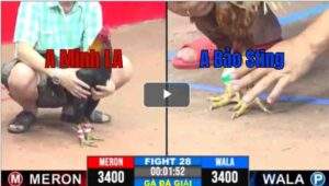 Trận 28 CPC3 22/04/2025