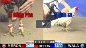 Trận 29 CPC1 24/04/2025