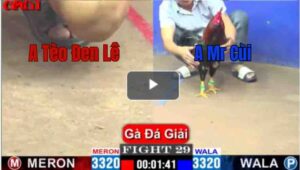 Trận 29 CPC1 26/04/2025