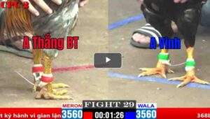 Trận 29 CPC2 04/04/2025 - Thắng Bến Tre Có Trận Thắng Đầu Tiên Hôm Nay