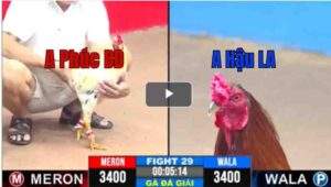 Trận 29 CPC3 22/04/2025