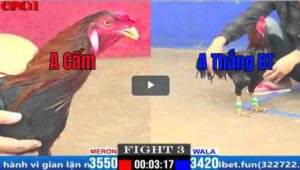 Trận 3 CPC1 05/04/2025 - Thắng Bến Tre Ra Quân Gặp Ngay Chú Cấm Và Cái Kết