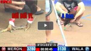 Trận 3 CPC1 26/04/2025