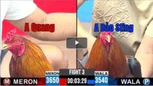 Trận 3 CPC3 22/04/2025