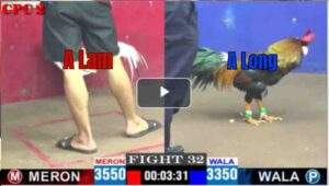 Trận 32 CPC2 13/04/2025 - A Lam Lại Tiếp Tục Gieo Sầu Cho A Long Hôm Nay