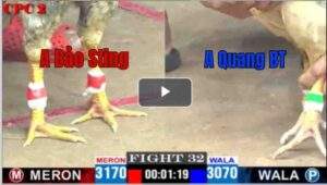 Trận 32 CPC2 18/04/2025