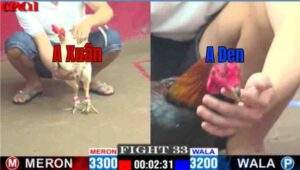 Trận 33 CPC1 17/04/2025