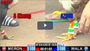 Trận 33 CPC1 24/04/2025