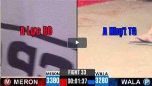 Trận 33 CPC3 07/04/2025 - Bướm Hiệu Bảo Sting Đấu A Lực BD Và Cái Kết