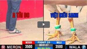 Trận 33 CPC3 29/04/2025