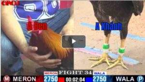 Trận 34 CPC1 17/04/2025