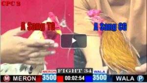 Trận 34 CPC2 16/04/2025