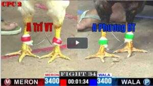 Trận 34 CPC2 20/04/2025