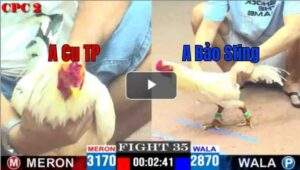 Trận 35 CPC2 27/04/2025