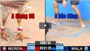 Trận 35 CPC3 22/04/2025