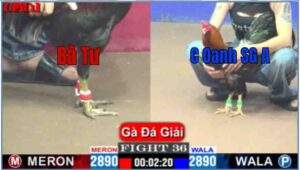 Trận 36 CPC1 10/04/2025 - Bà Tư Có Trận Thắng Đầu Tiền Hôm Nay Tại Giải Hôm Nay