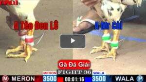 Trận 36 CPC1 26/04/2025