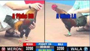 Trận 39 CPC3 22/04/2025