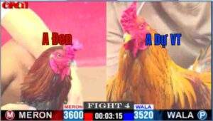 Trận 4 CPC1 12/04/2025 - Anh Tính Gà King Đối Đầu Với Anh Dự Vũng Tàu