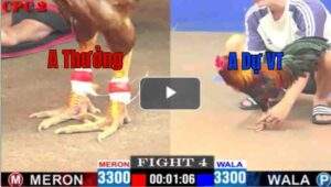 Trận 4 CPC2 16/04/2025